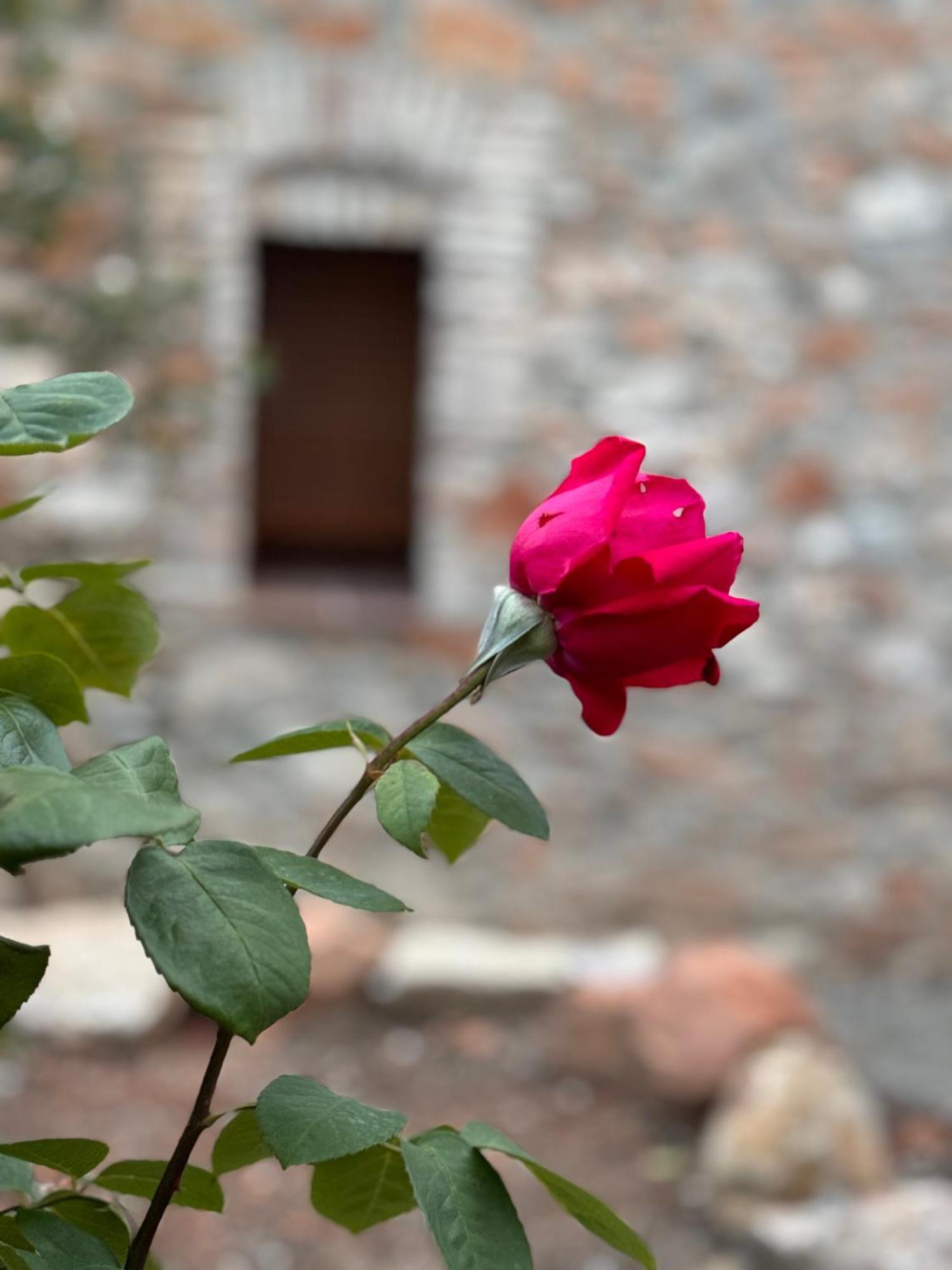 Casa De La Serra مونتبلانك المظهر الخارجي الصورة